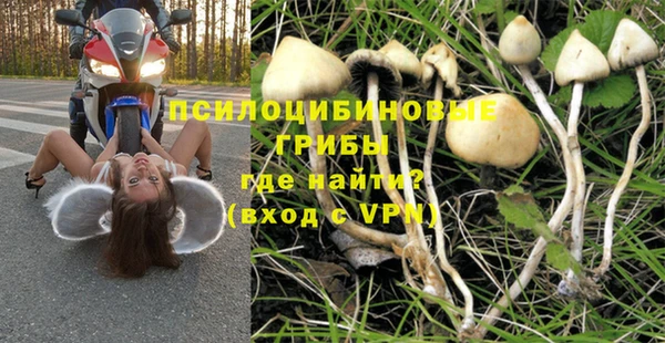 apvp Нягань
