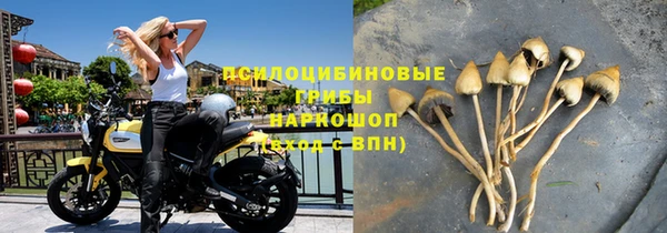 бошки Нязепетровск