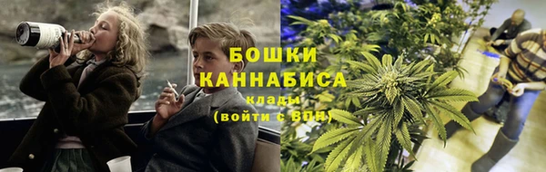 трава Осташков